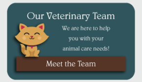 Our Veterinary Team | We are here to help you with your animal care needs! | Meet the Team