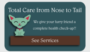 Total Care from Nose to Tail | We give your furry friend a complete health check-up!! | See Services