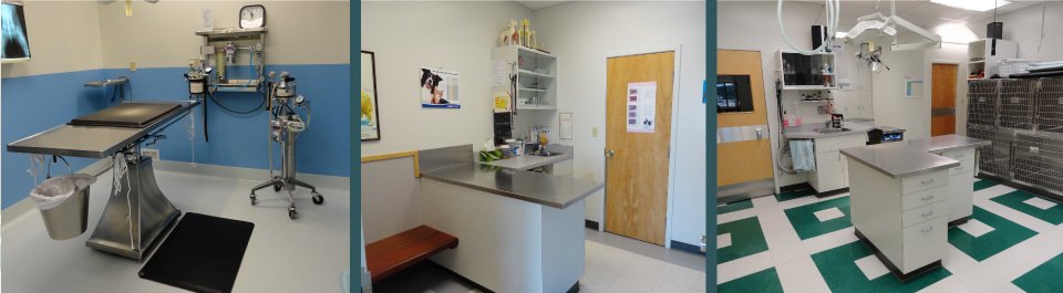 rooms in animal hospital